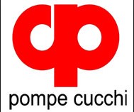 cucchi